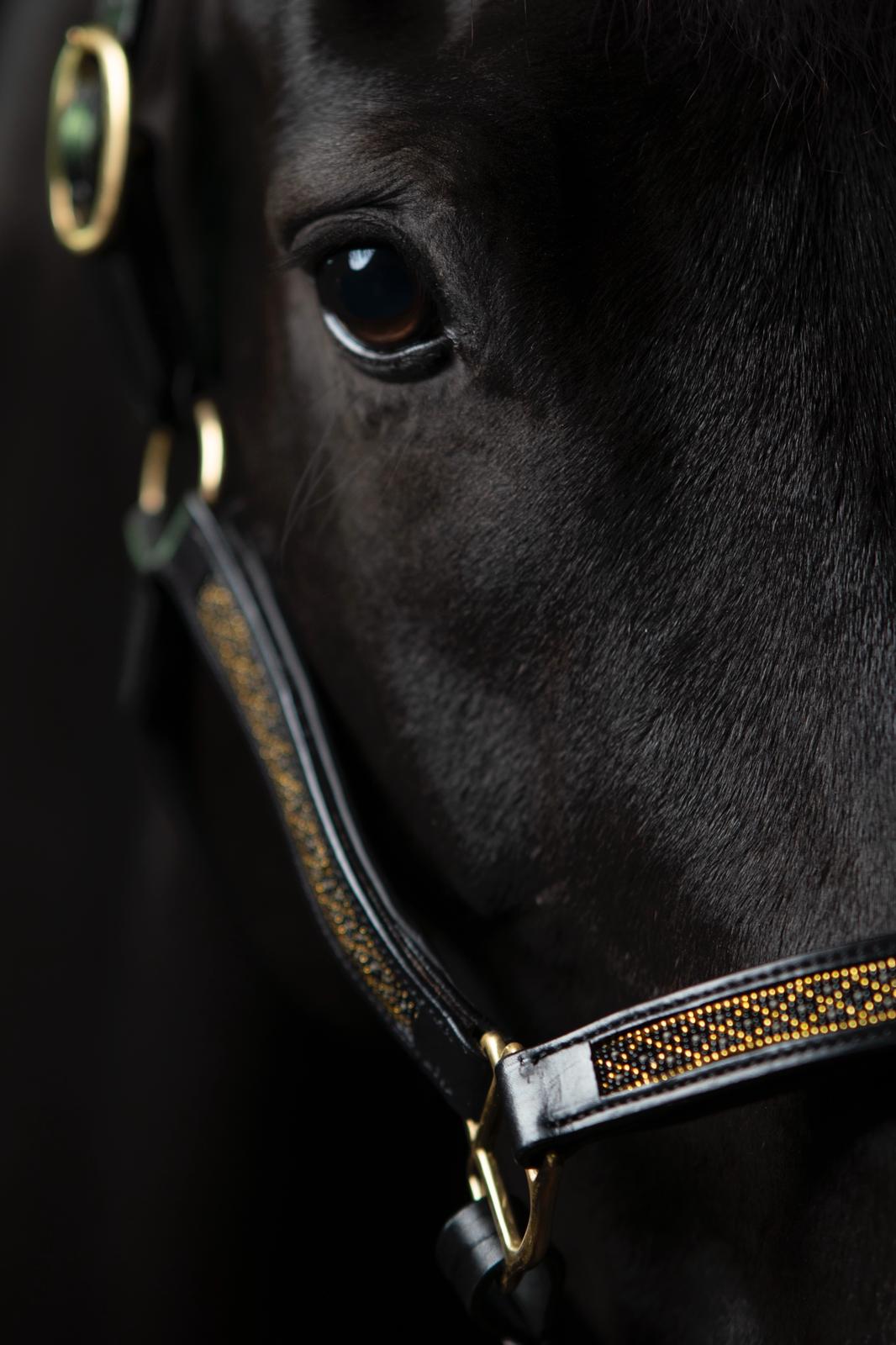 Atzaró Halter - Black