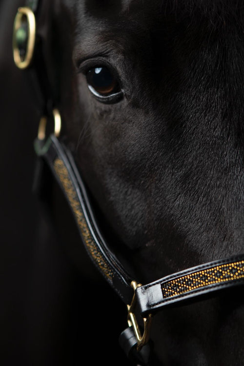 Atzaró Halter - Black