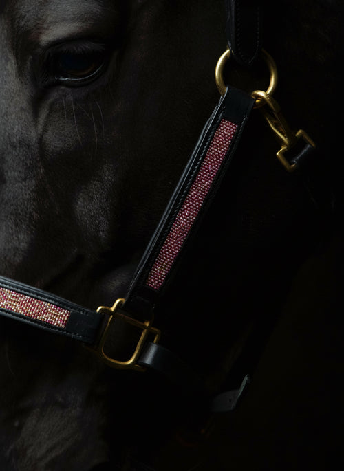 Punta Arabí Halter - Black